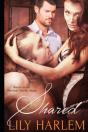 Shared: Sexy Threesome Romance - Preview