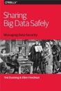 Sharing Big Data Safely - Preview