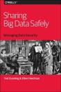 Sharing Big Data Safely - Preview