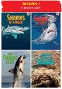 Shark 4 Book Pack - Preview