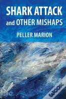 Shark Attack And Other Mishaps