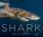 Shark - Preview