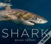 Capa do artigo Shark