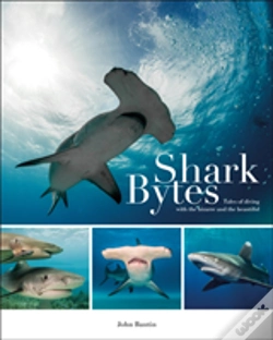 Capa do artigo Shark Bytes