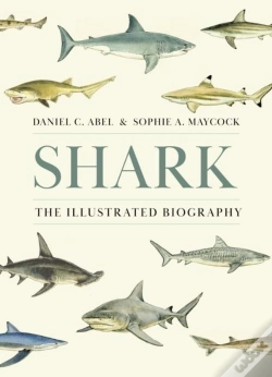 Capa do artigo Shark