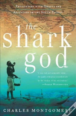Capa do artigo Shark God