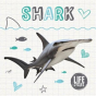 Shark - Preview
