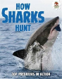 Shark! How Sharks Hunt - Preview