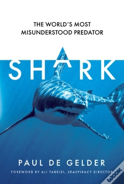 Capa do artigo Shark