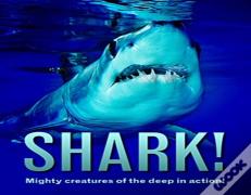 Shark!