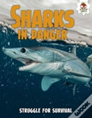 Shark! Sharks In Danger