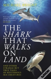 Capa do artigo Shark That Walks On Land