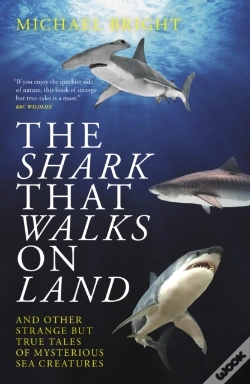 Capa do artigo Shark That Walks On Land