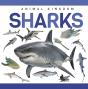 Sharks - Preview