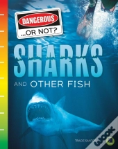 Sharks And Other Fish