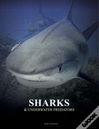 Sharks And Underwater Predators