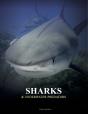 Sharks And Underwater Predators - Preview