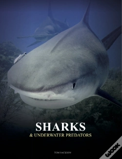 Capa do artigo Sharks And Underwater Predators