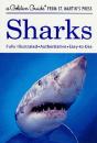 Sharks - Preview