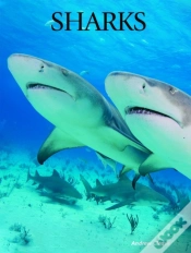 Capa do artigo Sharks