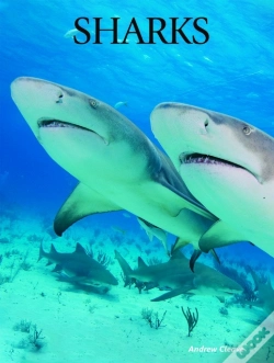 Capa do artigo Sharks