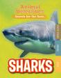 Sharks - Preview