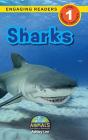 Sharks - Preview