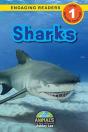 Sharks - Preview