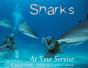 Sharks At Your Service - Preview