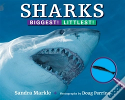 Capa do artigo Sharks: Biggest! Littlest!