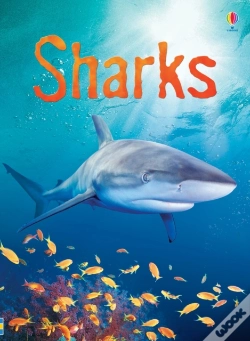 Capa do artigo Sharks