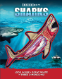 Sharks - Preview