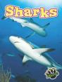 Sharks - Preview