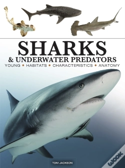 Capa do artigo Sharks & Underwater Predators