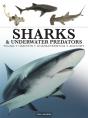 Sharks & Underwater Predators - Preview