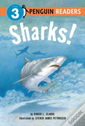Capa do artigo Sharks!