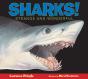 Sharks! - Preview