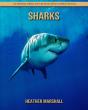 Sharks - Preview