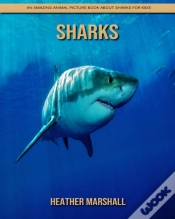 Capa do artigo Sharks