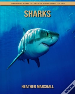 Capa do artigo Sharks