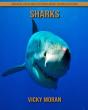 Sharks - Preview