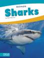 Sharks - Preview