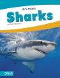 Sharks - Preview