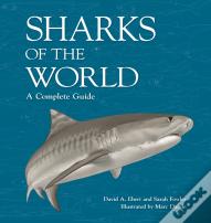 Sharks Of The World