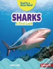 Sharks