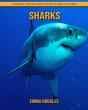 Sharks - Preview