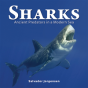 Sharks - Preview