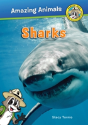 Sharks - Preview