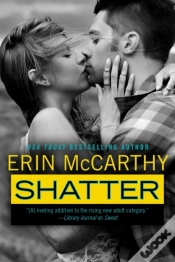 Capa do artigo Shatter
