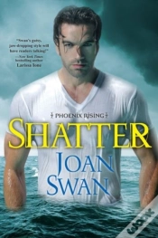 Capa do artigo Shatter